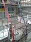 Embaladora horizontal em a�o inox ULMA